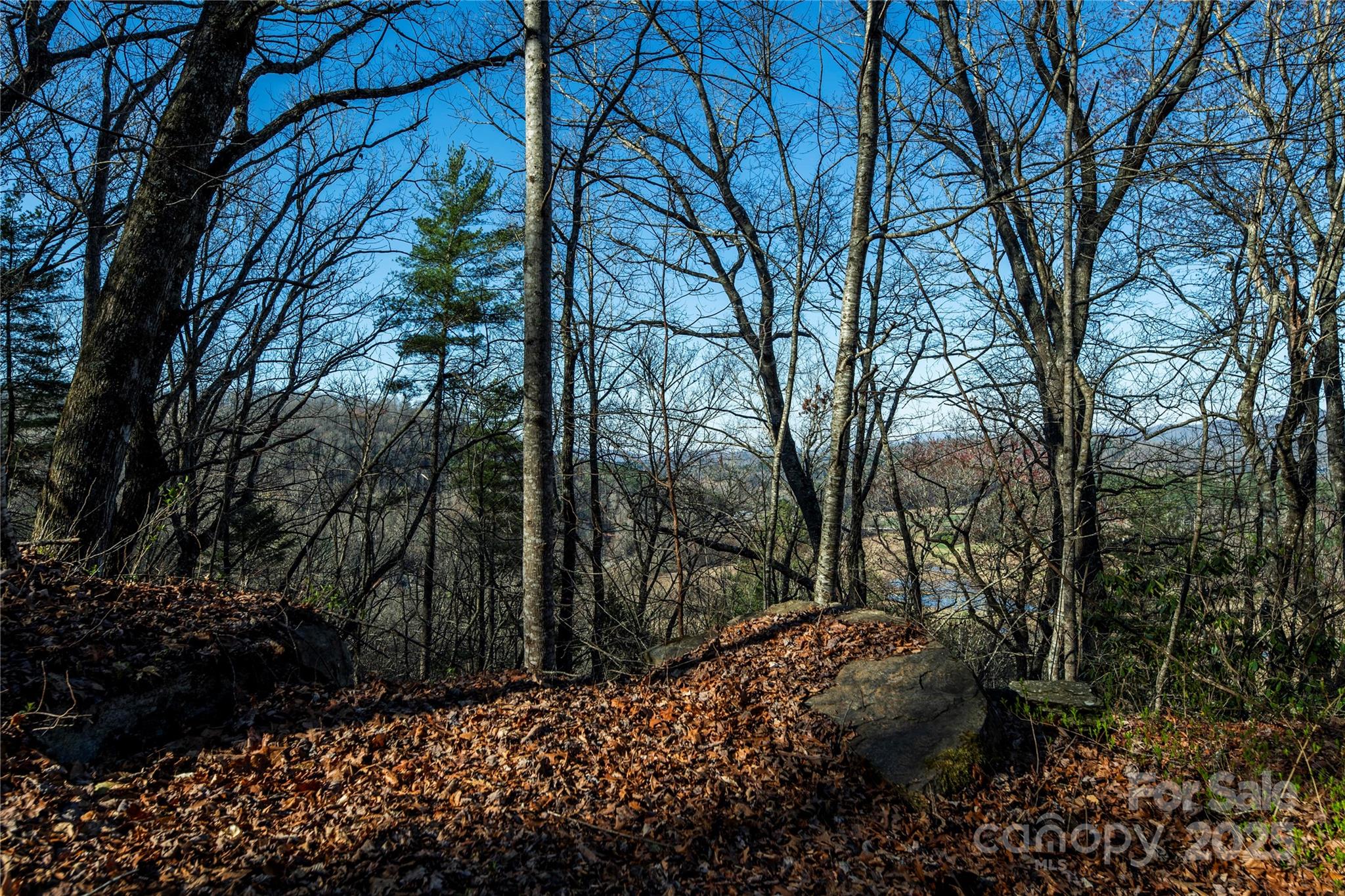 Three Three Mile Knob Road, Unit L1 Pisgah Forest, NC 28768 - Photo 2 of 11 a view of a yard with a tree