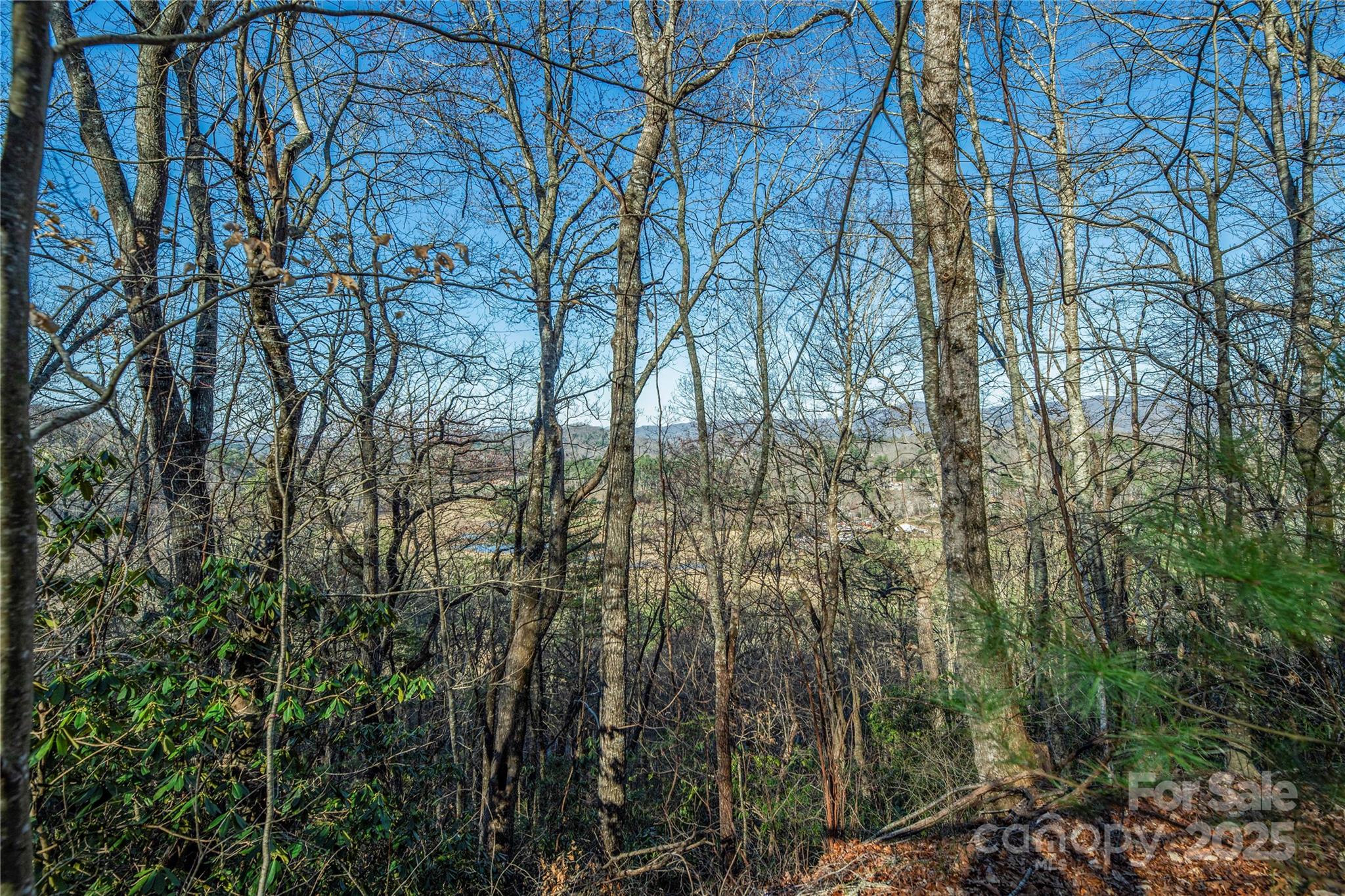 Three Three Mile Knob Road, Unit L1 Pisgah Forest, NC 28768 - Photo 5 of 11 a view of forest