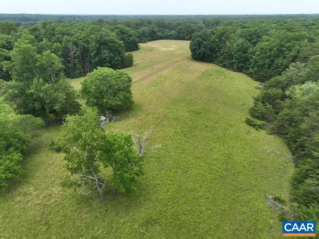 a view of a big yard with large trees