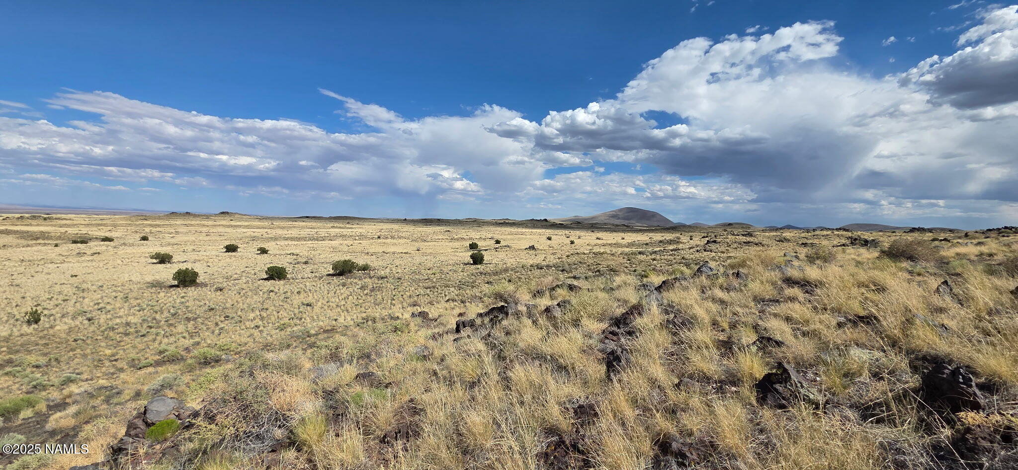 30342002 M Alpine Ranch Flagstaff, AZ 86004 - Photo 1 of 4 Lot View