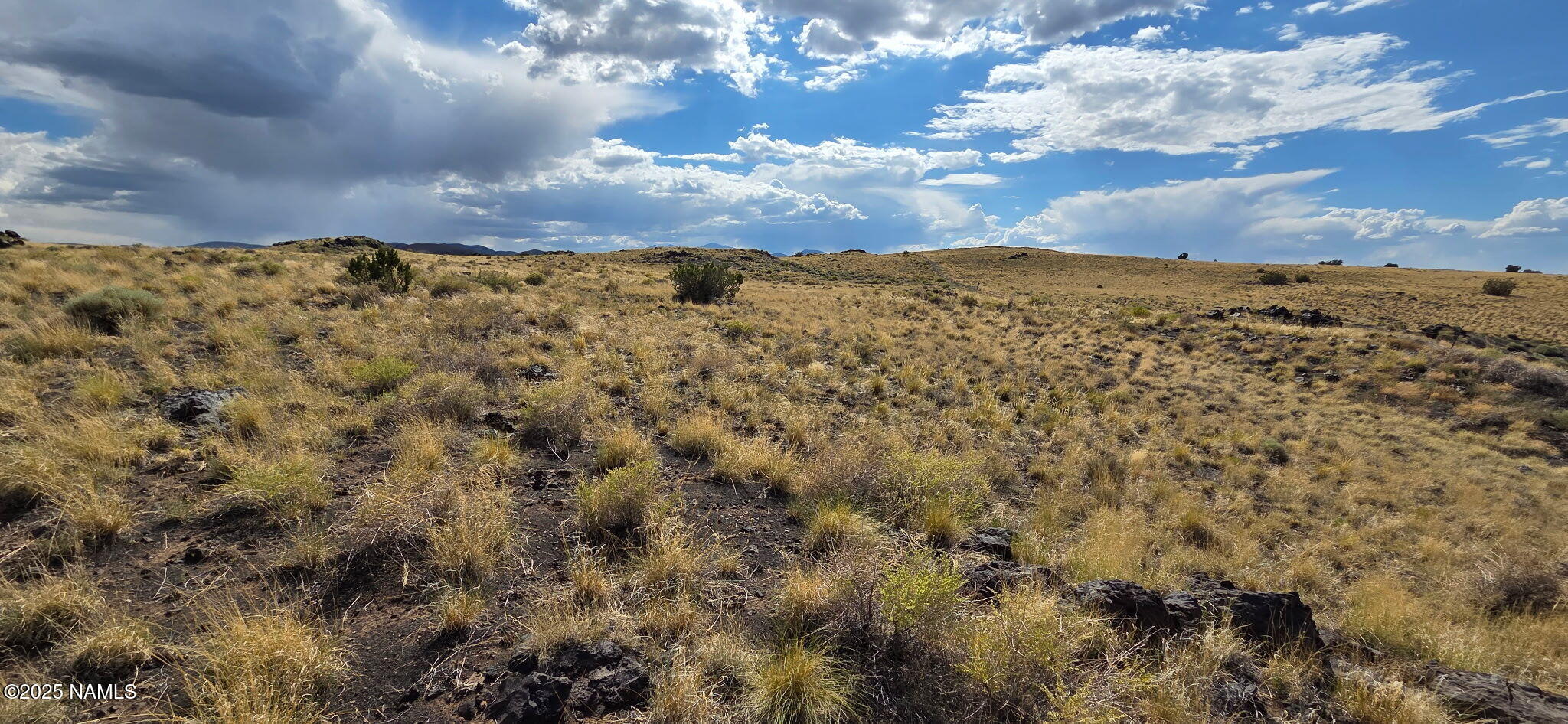 30342002 M Alpine Ranch Flagstaff, AZ 86004 - Photo 4 of 4 Lot View