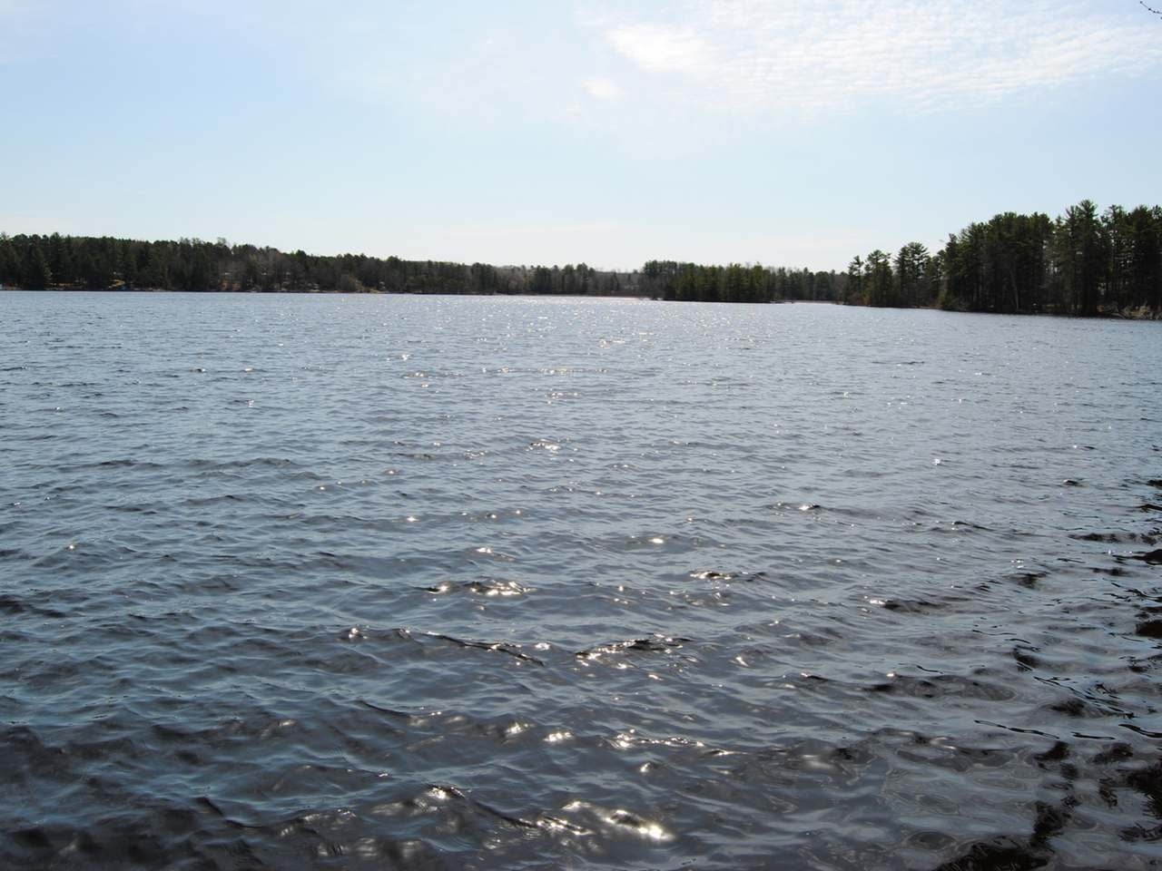 N11890 Deer Lake Road Tomahawk, WI 54487 - Photo 3 of 50 Gallery Image 3