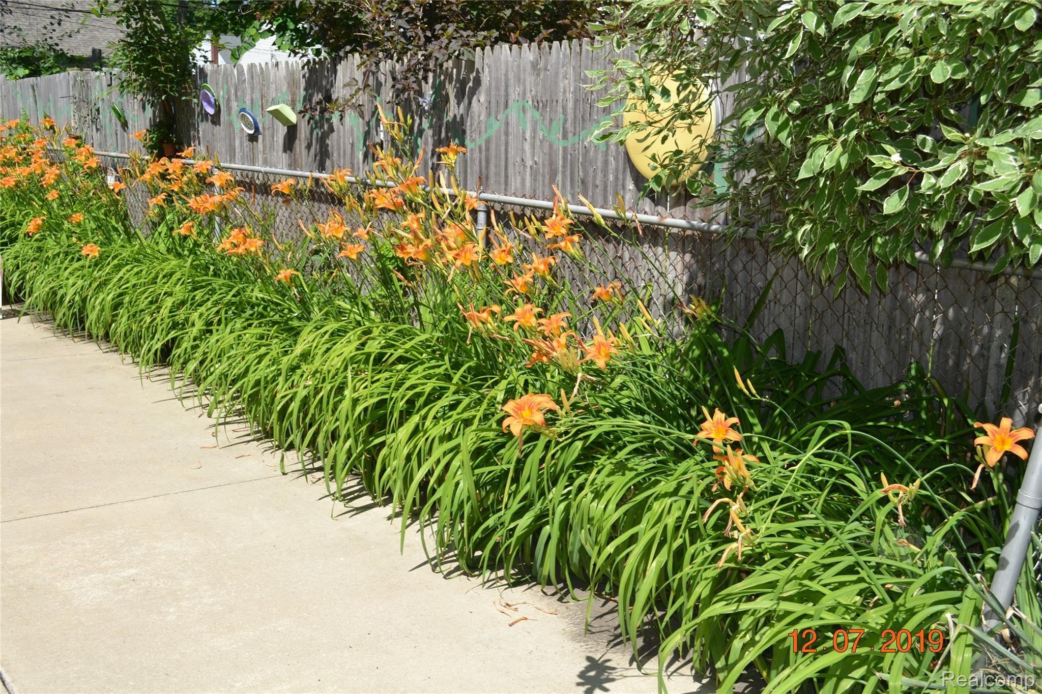Perennials 