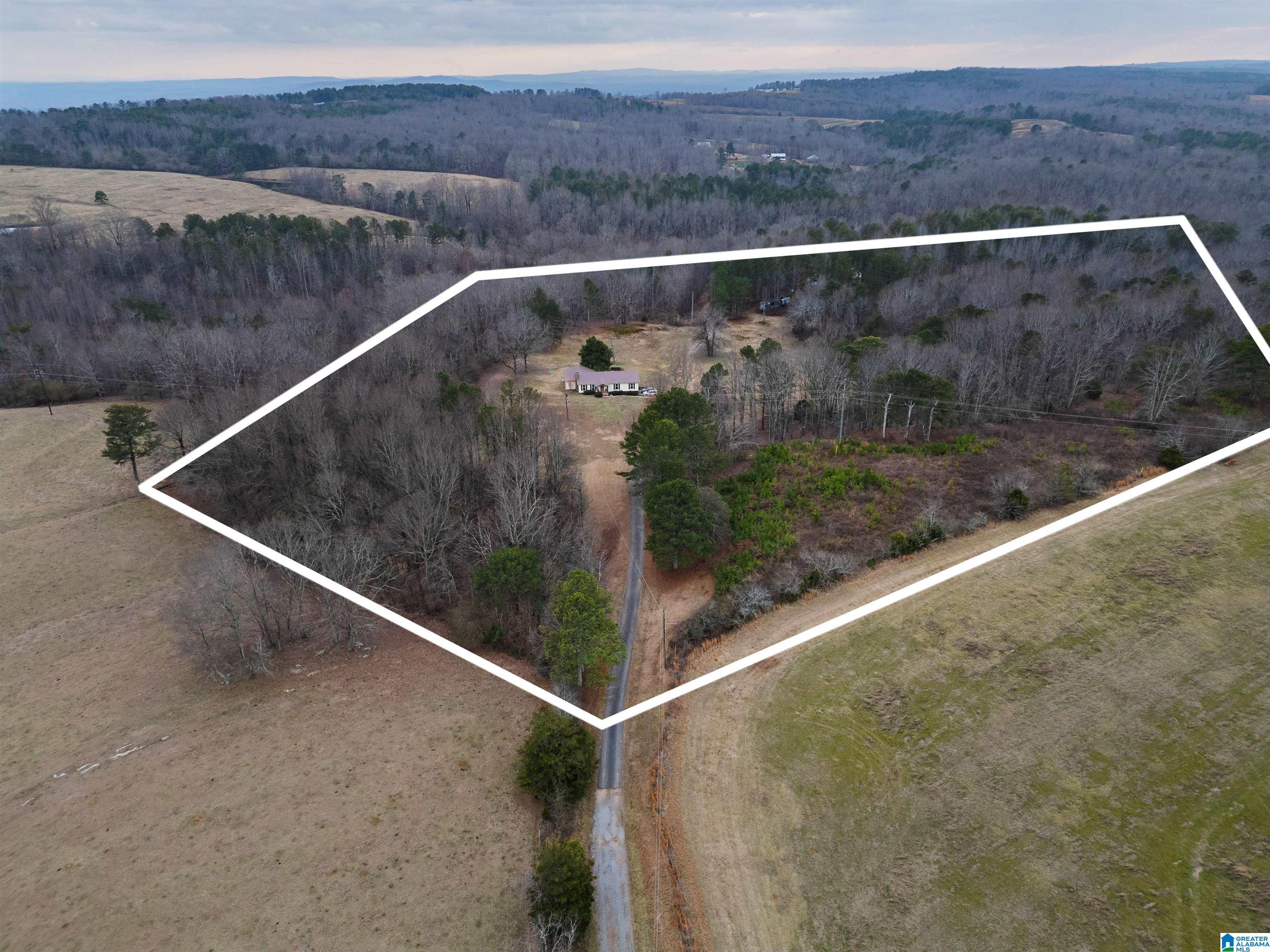 560 Phillips Drive Oneonta, AL 35121 - Photo 3 of 50