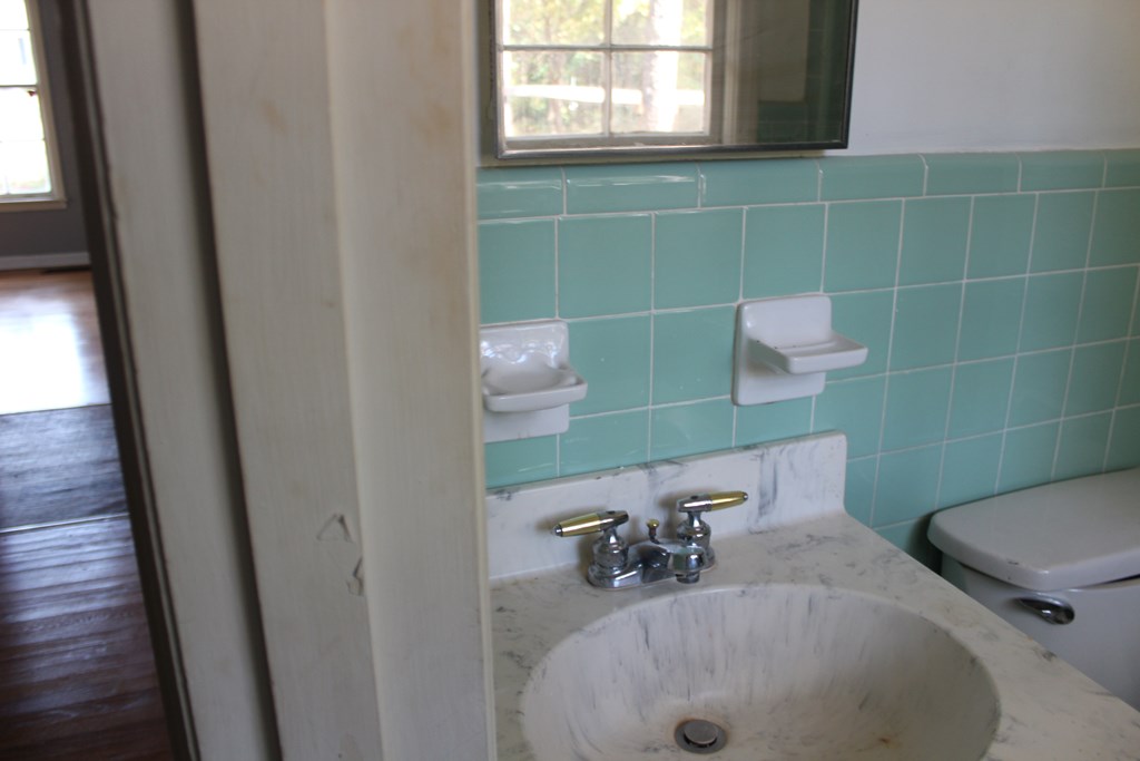 1616 Randall Road Dothan, AL 36303 - Photo 11 of 15 Master bath