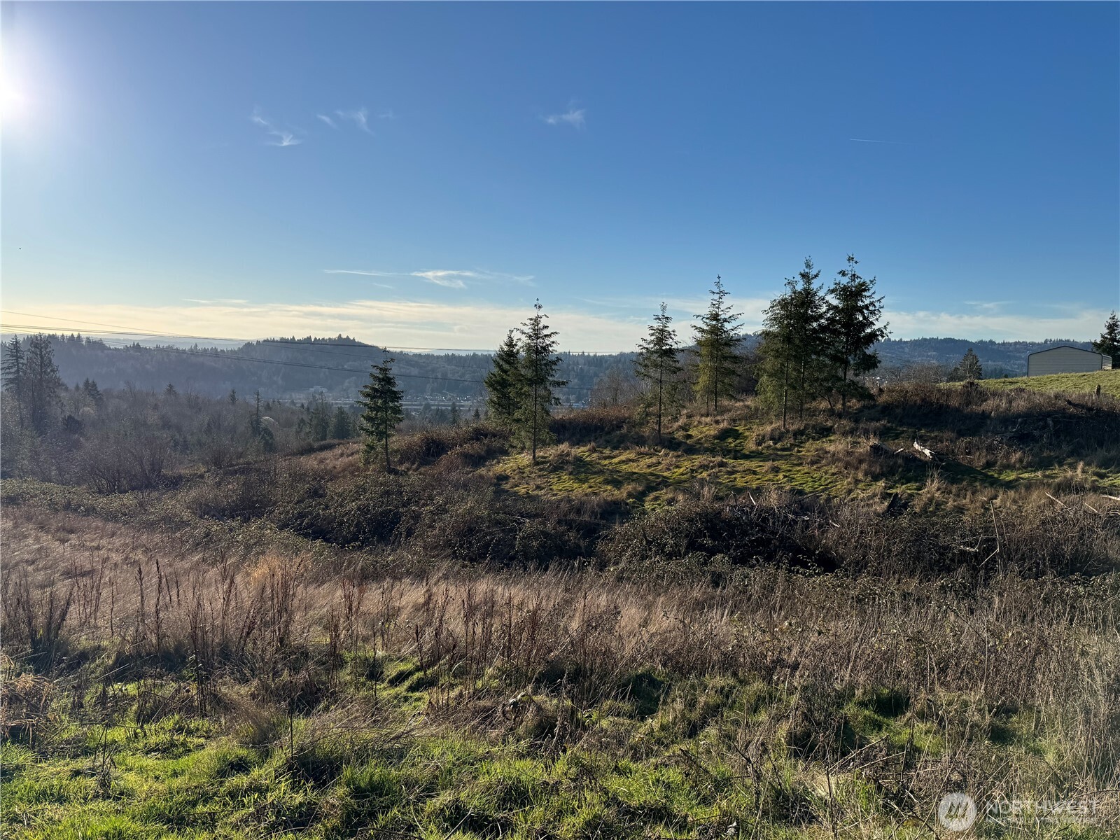429 Williams Finney Road Kelso, WA 98626 - Photo 3 of 13 Gallery Image 3