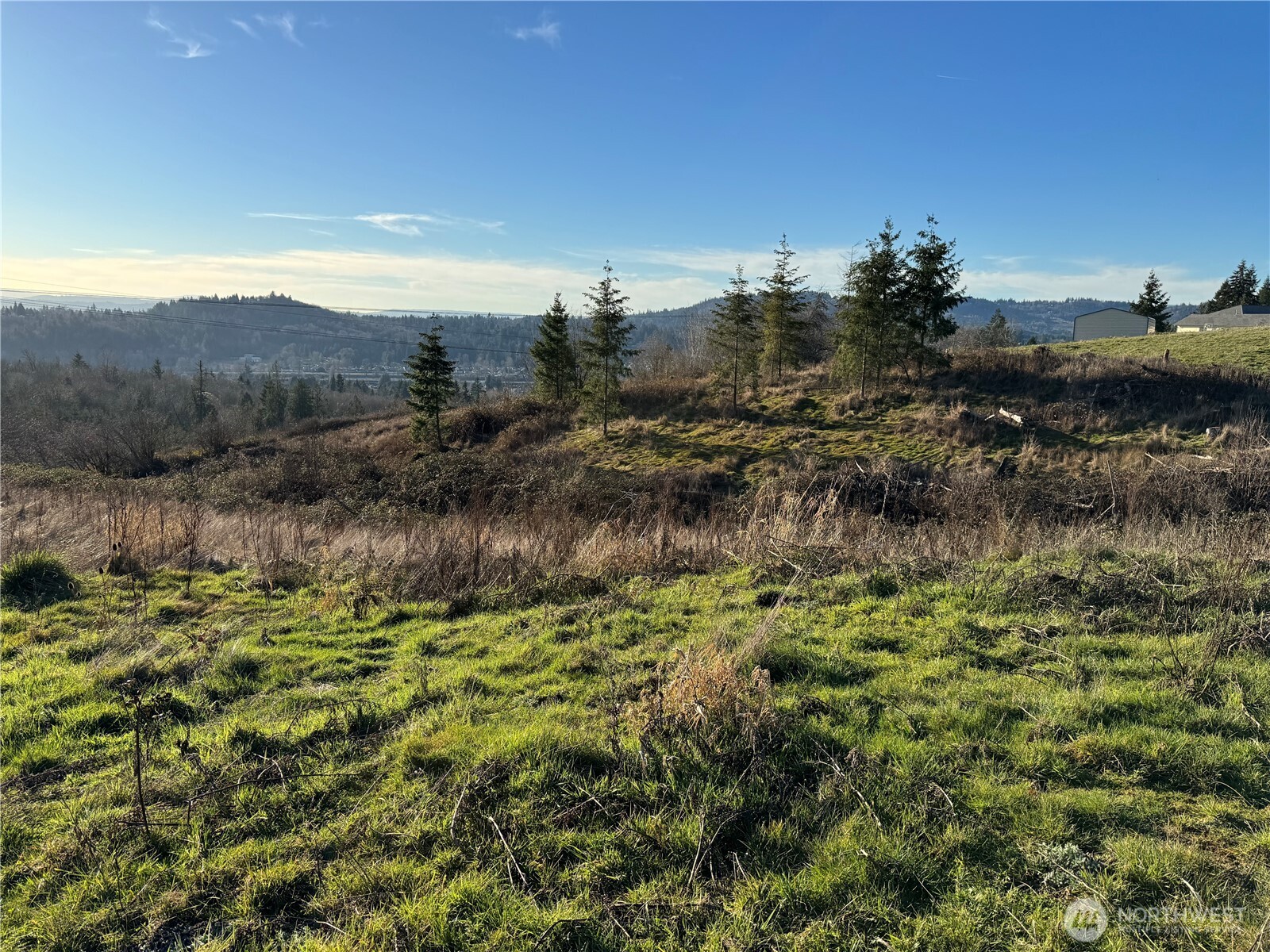 429 Williams Finney Road Kelso, WA 98626 - Photo 4 of 13 Gallery Image 4