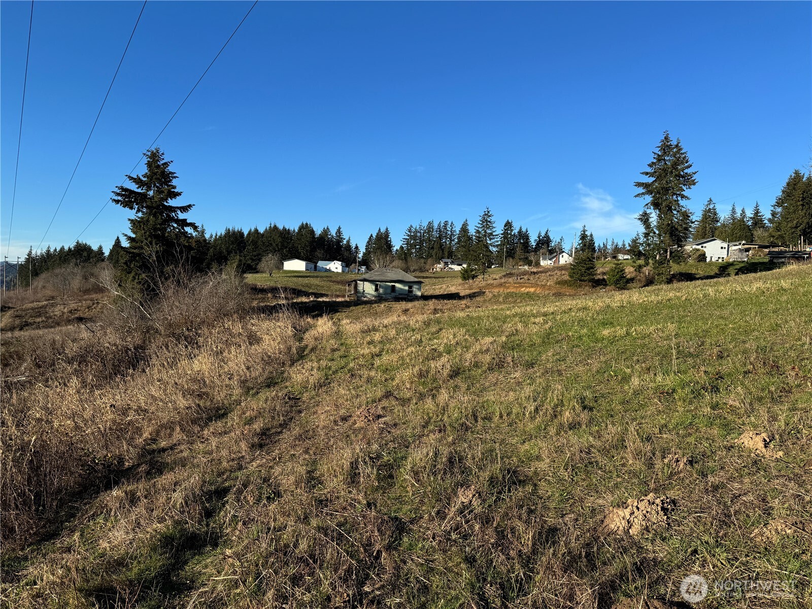 429 Williams Finney Road Kelso, WA 98626 - Photo 5 of 13 Gallery Image 5