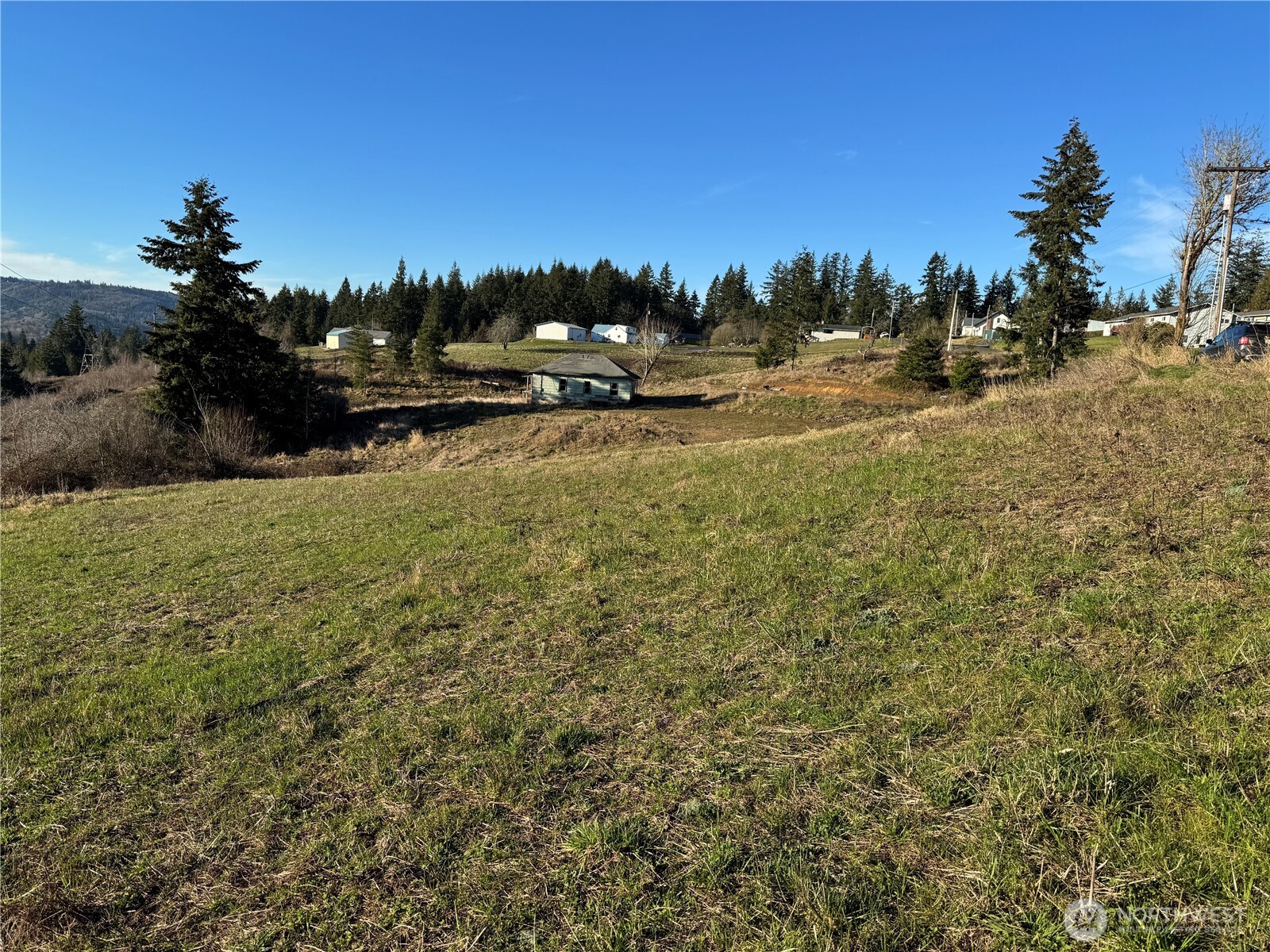 429 Williams Finney Road Kelso, WA 98626 - Photo 6 of 13 Gallery Image 6