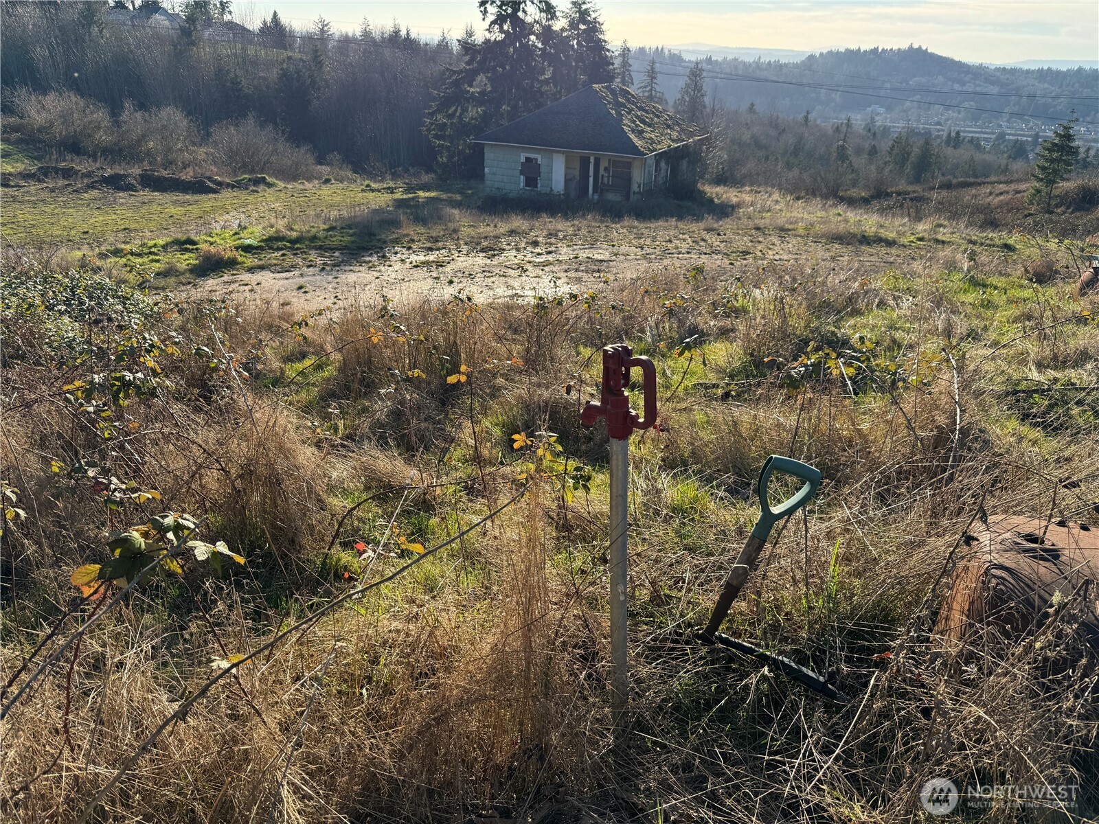 429 Williams Finney Road Kelso, WA 98626 - Photo 10 of 13 Gallery Image 10