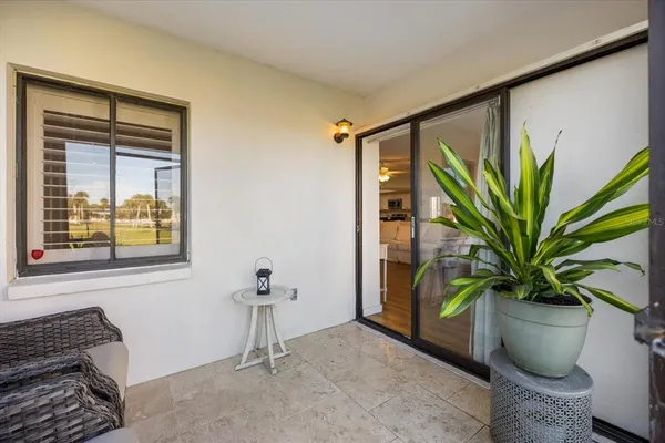 a potted plant sitting in front of a window