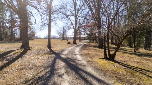 a view of yard with trees