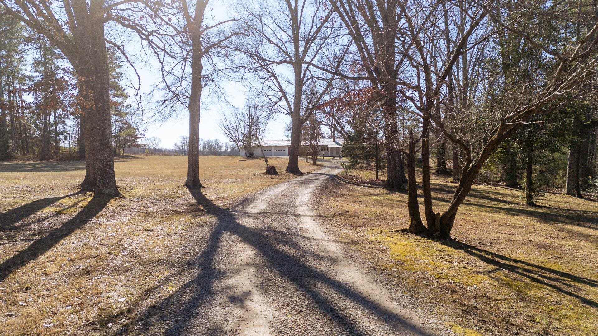 865 Pickett Road Stantonville, TN 38379 - Photo 6 of 40 a view of yard with trees
