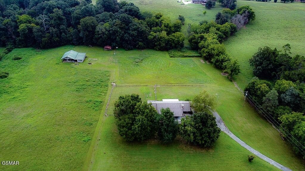 1901 Pine Ridge Road Seymour, TN 37865 - Photo 46 of 50 Gallery Image 46
