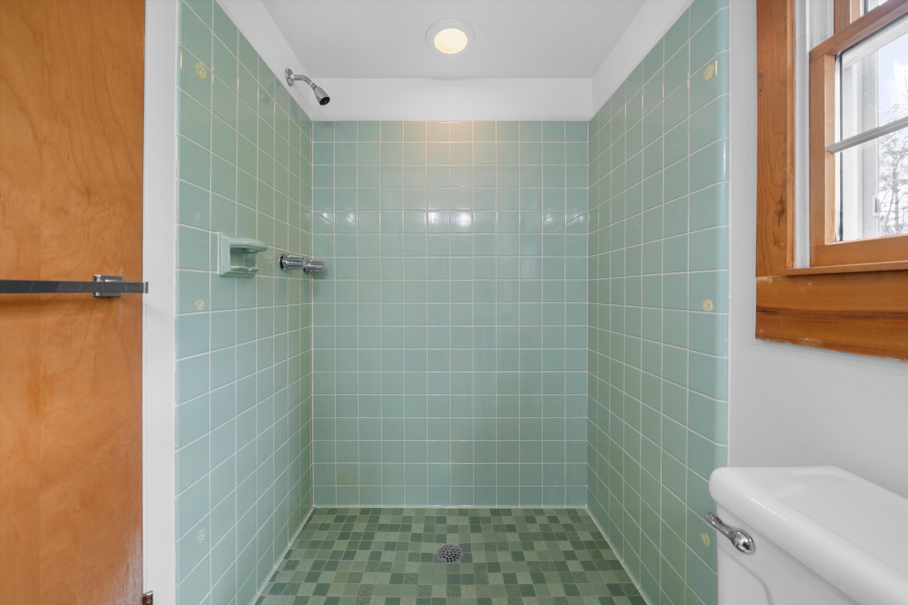 1376 Bird Road Ann Arbor, MI 48103 - Photo 42 of 66 Attached Bath to Bedroom 2 / 2nd Primary