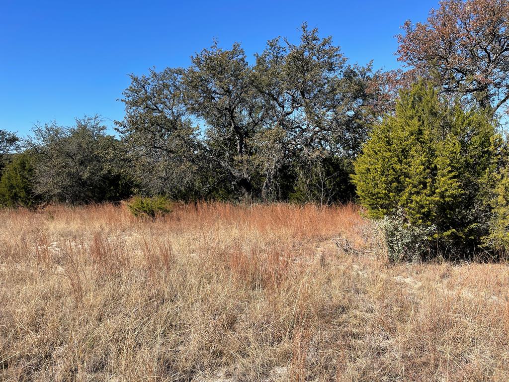 1476 Salt Branch Loop Doss, TX 78618 - Photo 17 of 20 Gallery Image 17