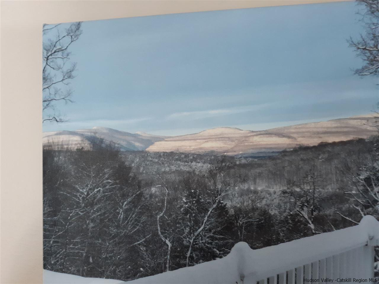 3161 Old Kings Road Catskill, NY 12414 - Photo 10 of 33 Photo 11