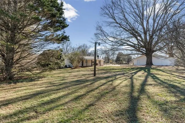 a view of yard with tree
