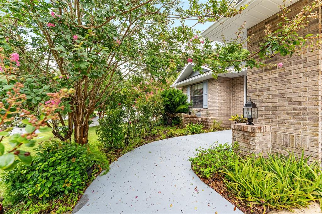 10922 Palmetto Boulevard Alachua, FL 32615 - Photo 4 of 51 a backyard of a house with lots of green space