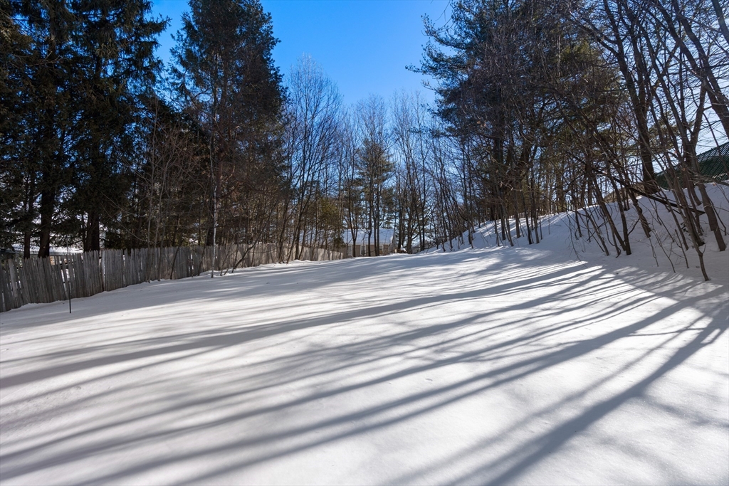 6 Nathaniel Street Worcester, MA 01604 - Photo 28 of 38