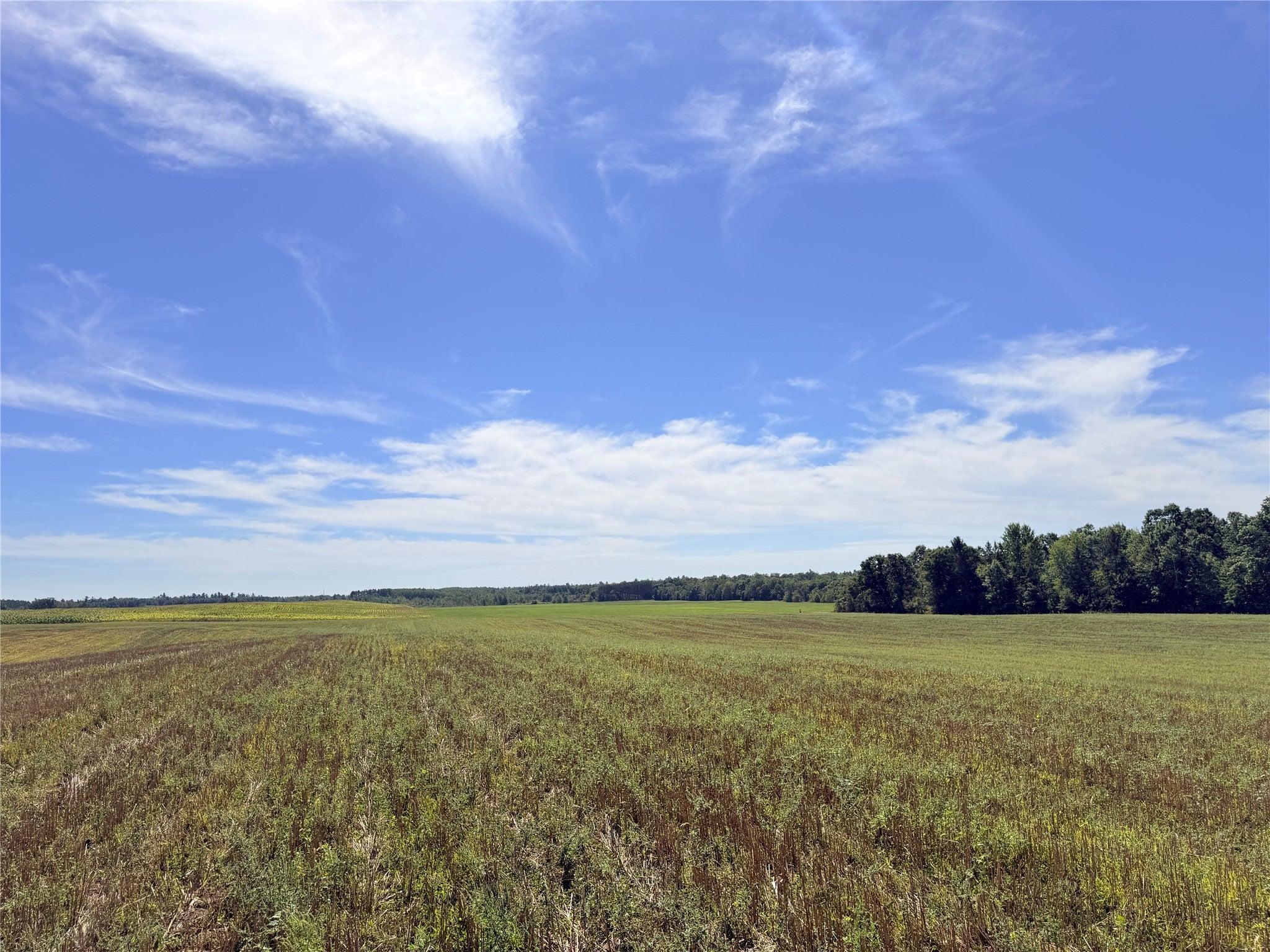 Lot 7 Peterson Road Ladysmith, WI 54848 - Photo 5 of 9 Gallery Image 5