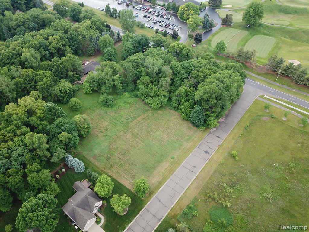 0 Chandler Road Bath, MI 48808 - Photo 8 of 12