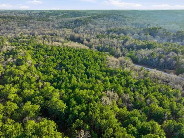 a view of a lush green forest with trees and some houses
