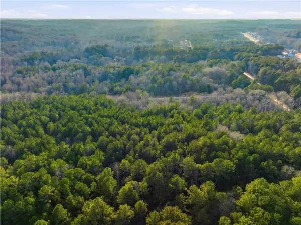 a view of a lush green forest with lots of trees