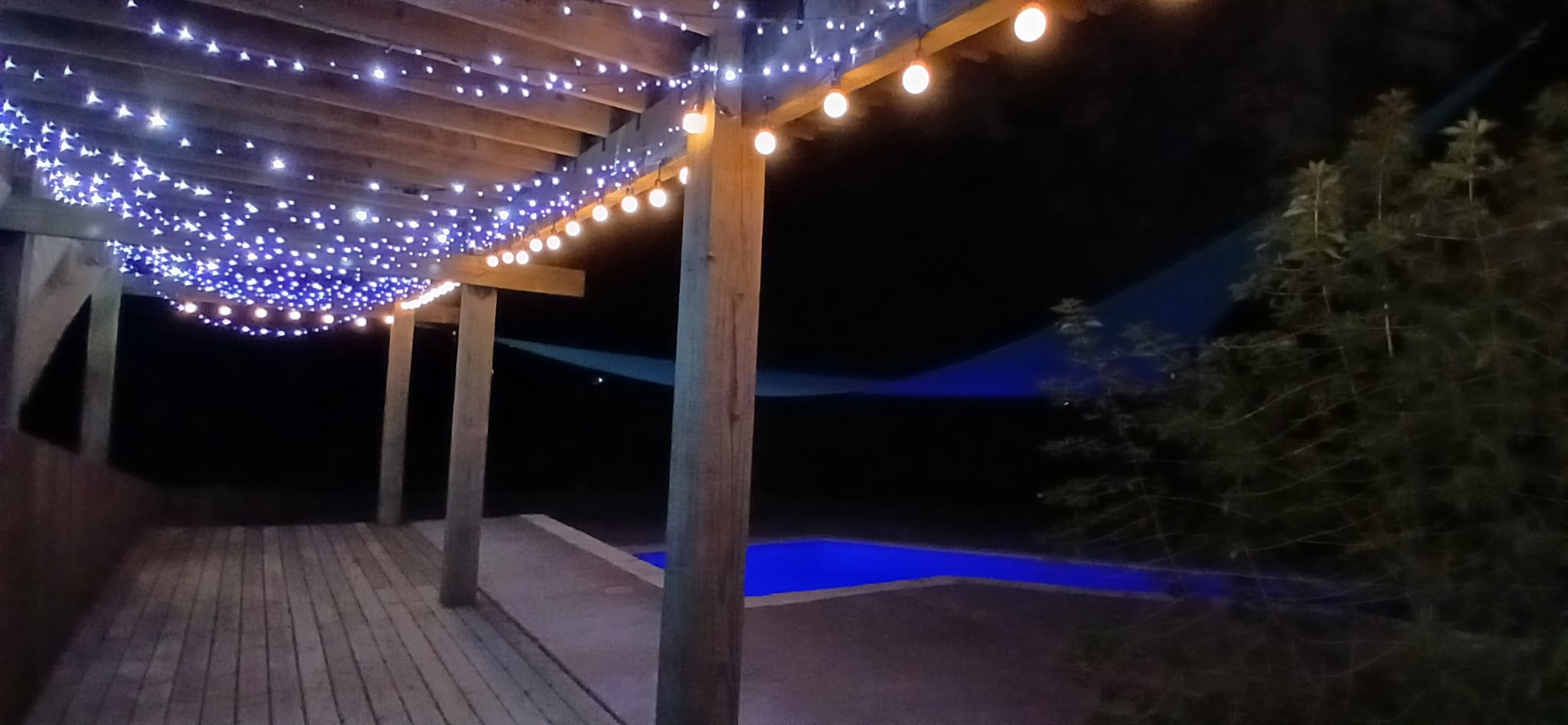 205 Don Q Baytown, TX 77523 - Photo 26 of 27 a room with lots of trees and flower garden