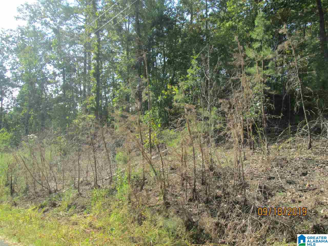 86 Red Valley Circle Remlap, AL 35133 - Photo 42 of 46