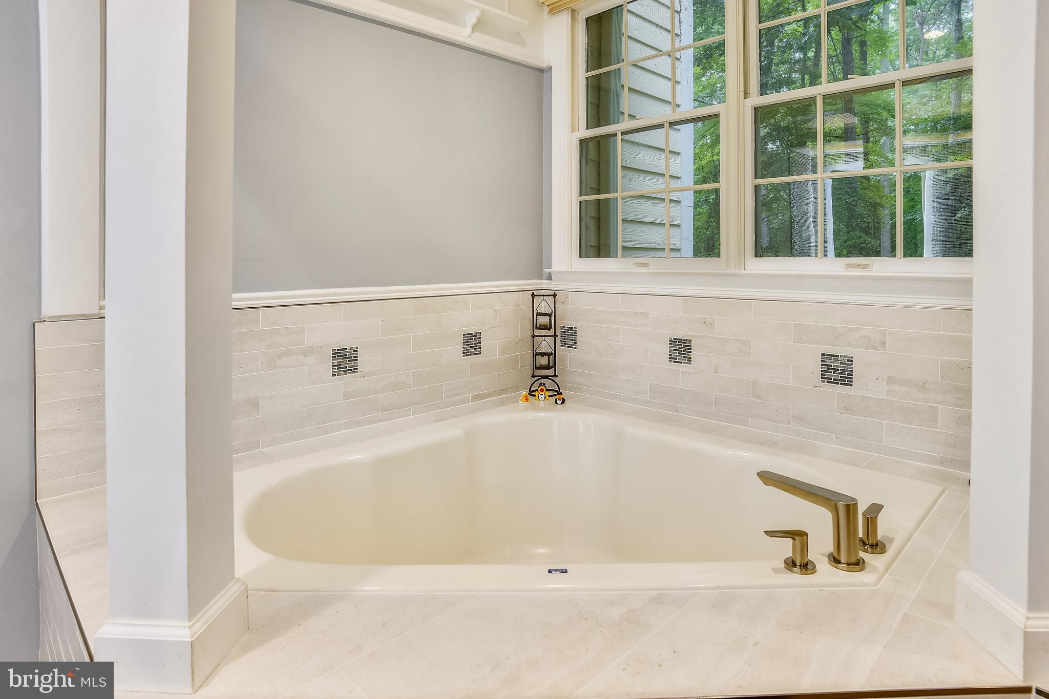 54 Colony Crossing Edgewater, MD 21037 - Photo 24 of 49 Upgraded tub
