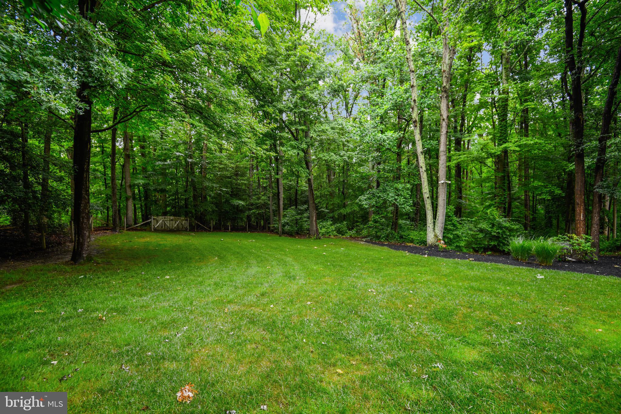 54 Colony Crossing Edgewater, MD 21037 - Photo 42 of 49 Total privacy!!