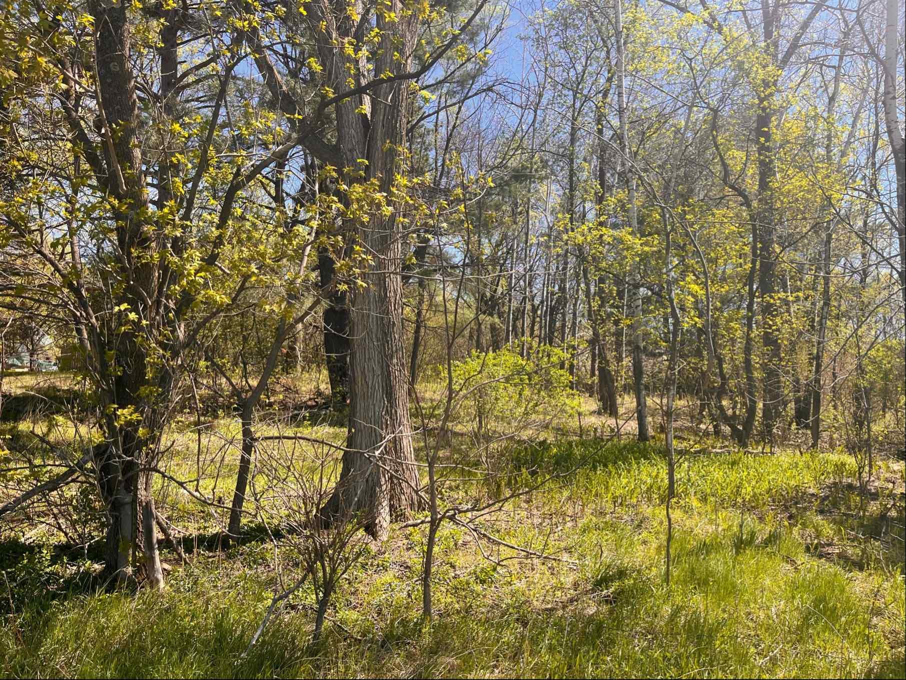 23-xx River Road St. Croix Falls, WI 54024 - Photo 1 of 1 Gallery Image 1