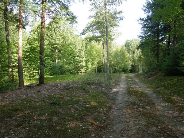 Lot 522.11 Nelson Road Petersham, MA 01366 - Photo 1 of 7