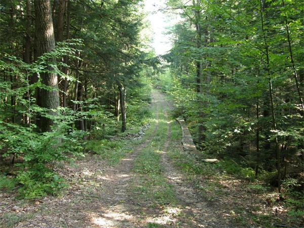 Lot 522.11 Nelson Road Petersham, MA 01366 - Photo 2 of 7