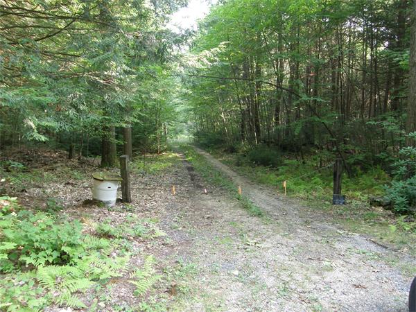 Lot 522.11 Nelson Road Petersham, MA 01366 - Photo 3 of 7