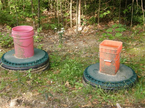 Lot 522.11 Nelson Road Petersham, MA 01366 - Photo 5 of 7