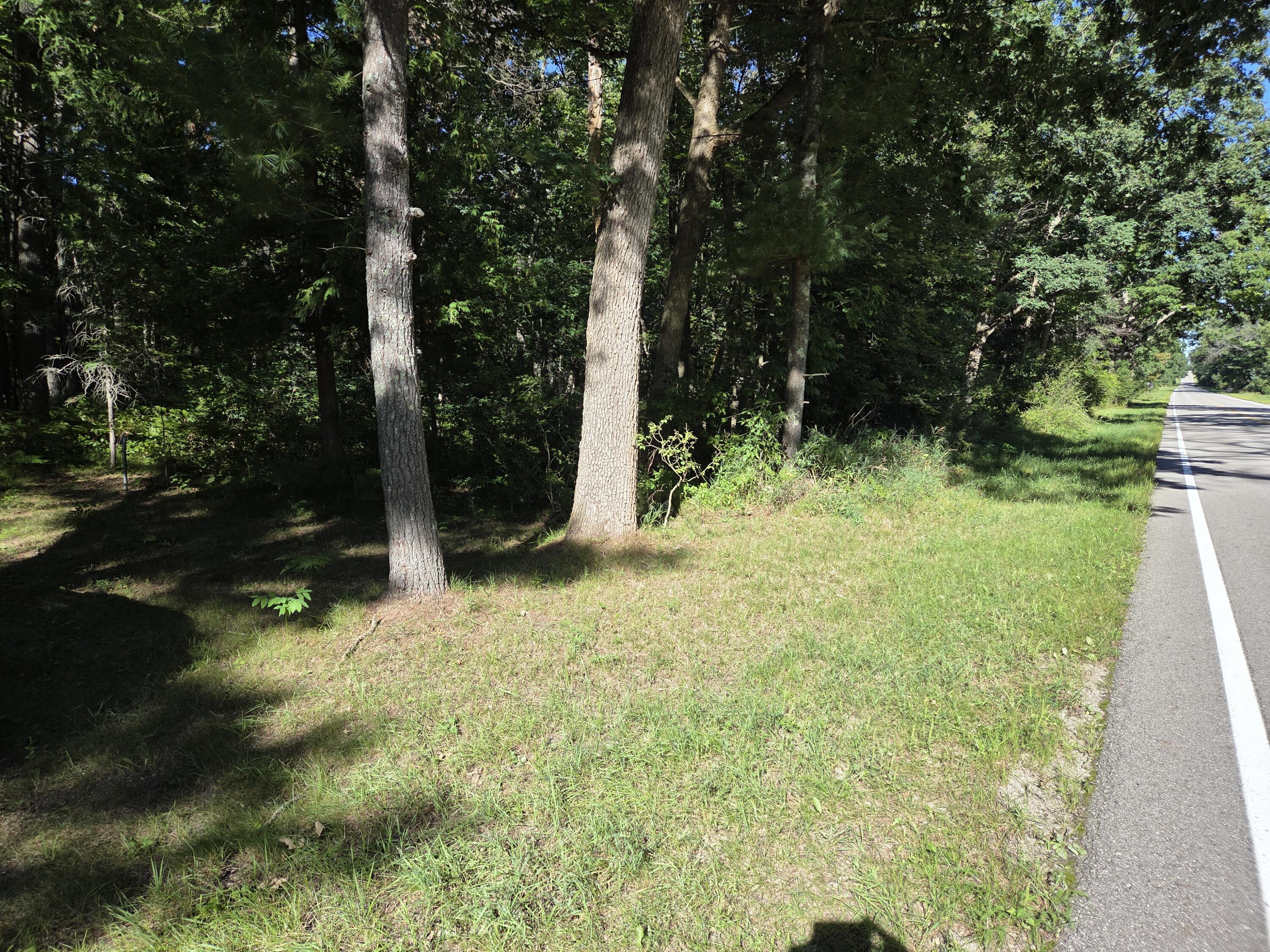 4298 East 5 Mile Road Luther, MI 49656 - Photo 14 of 22 20250828_171817