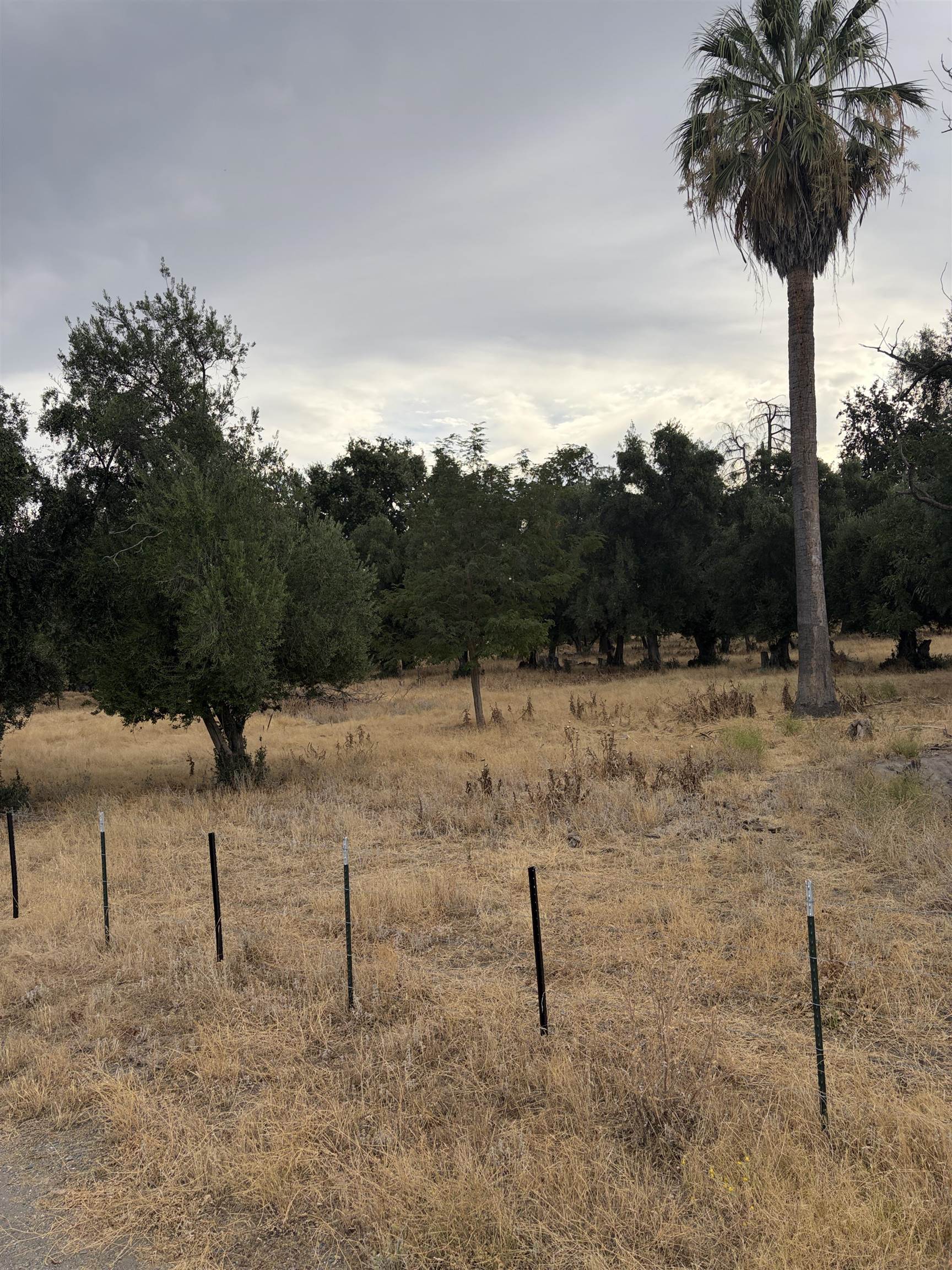 19115 Simpson Road Corning, CA 96021 - Photo 31 of 35