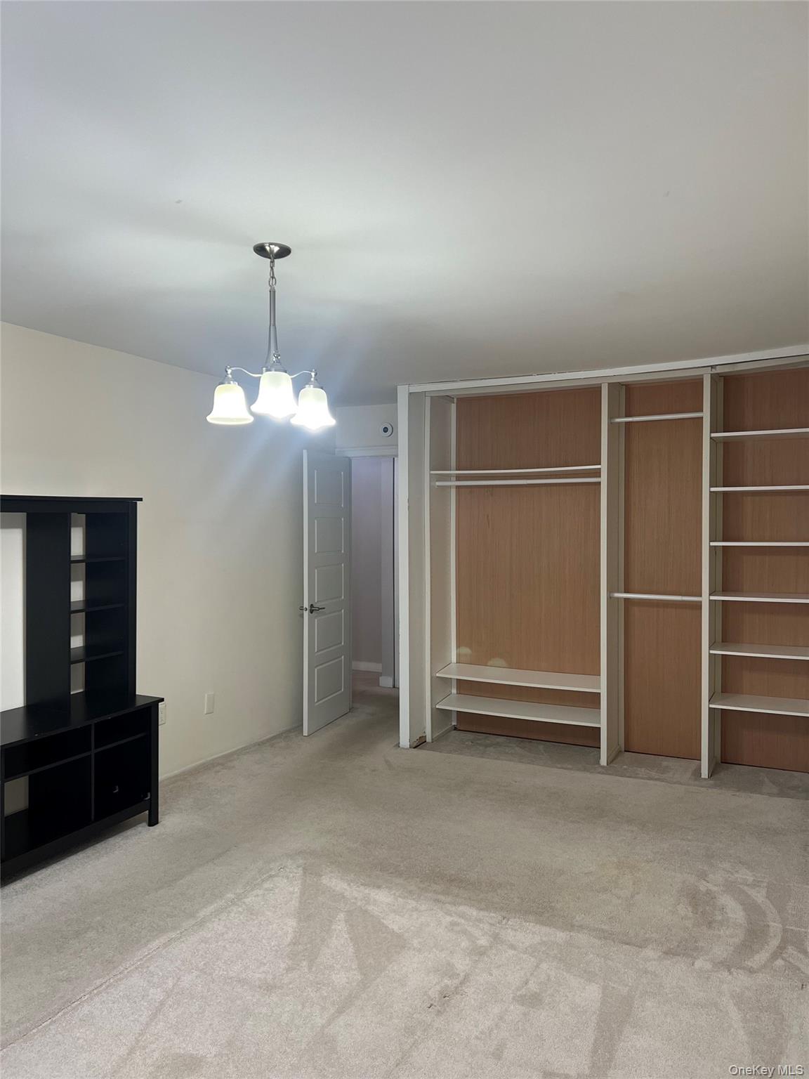 2 Secora Road, Unit 16 Monsey, NY 10952 - Photo 12 of 15 Bedroom with custom closet and carpeting