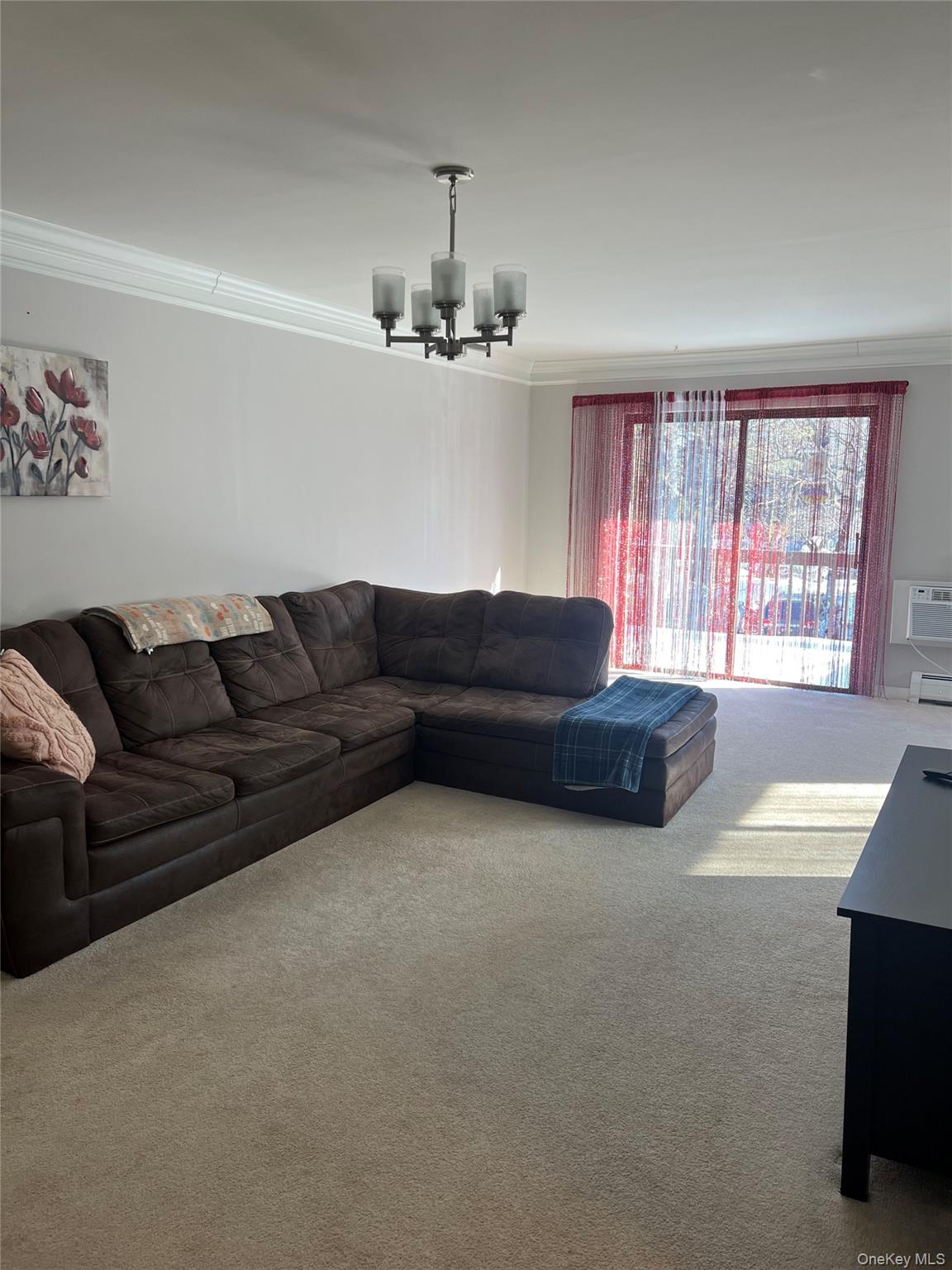 2 Secora Road, Unit 16 Monsey, NY 10952 - Photo 9 of 15 Freshly painted living room with sliders to deck and carpeting