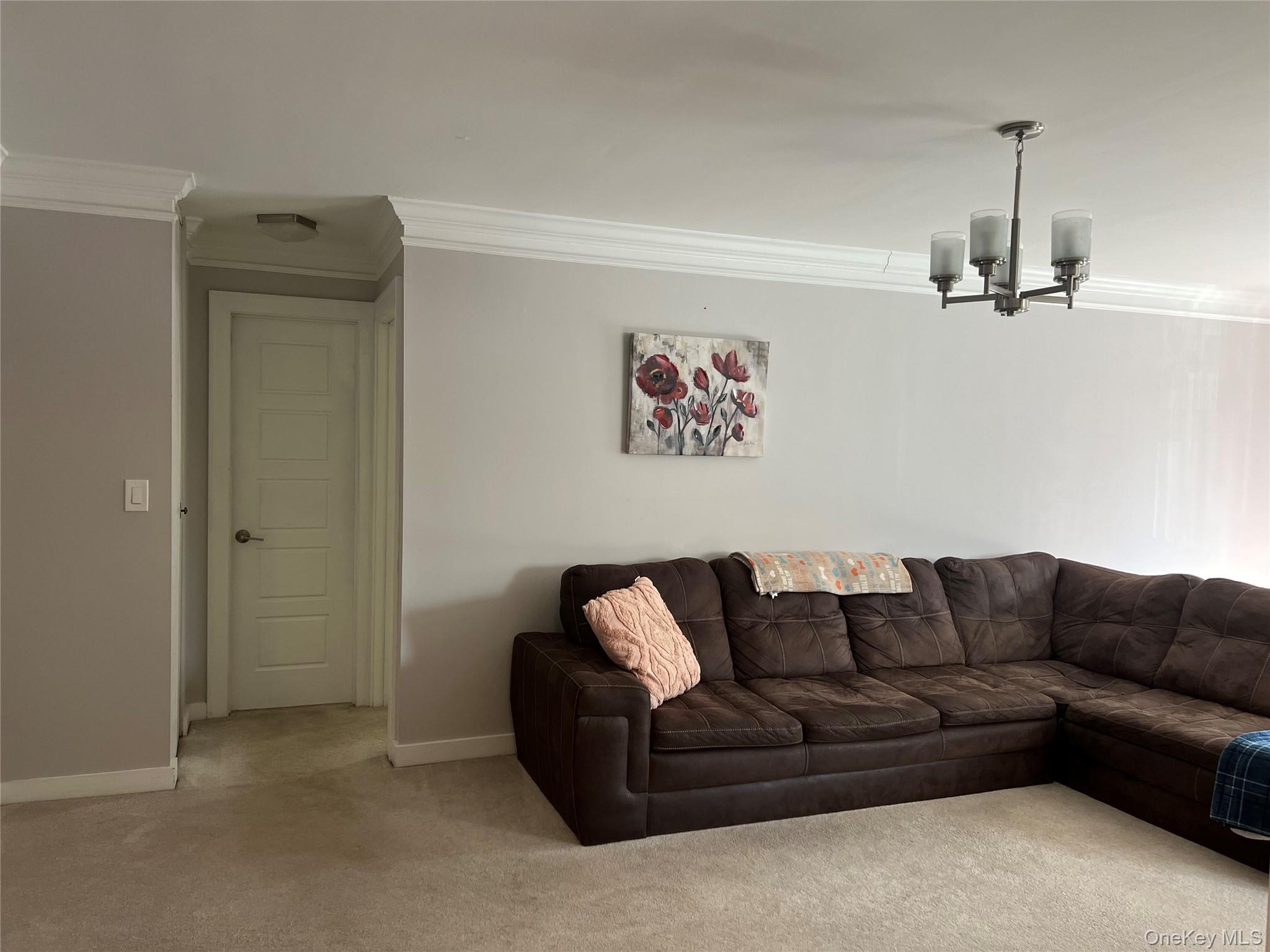 2 Secora Road, Unit 16 Monsey, NY 10952 - Photo 10 of 15 Living room with carpeting