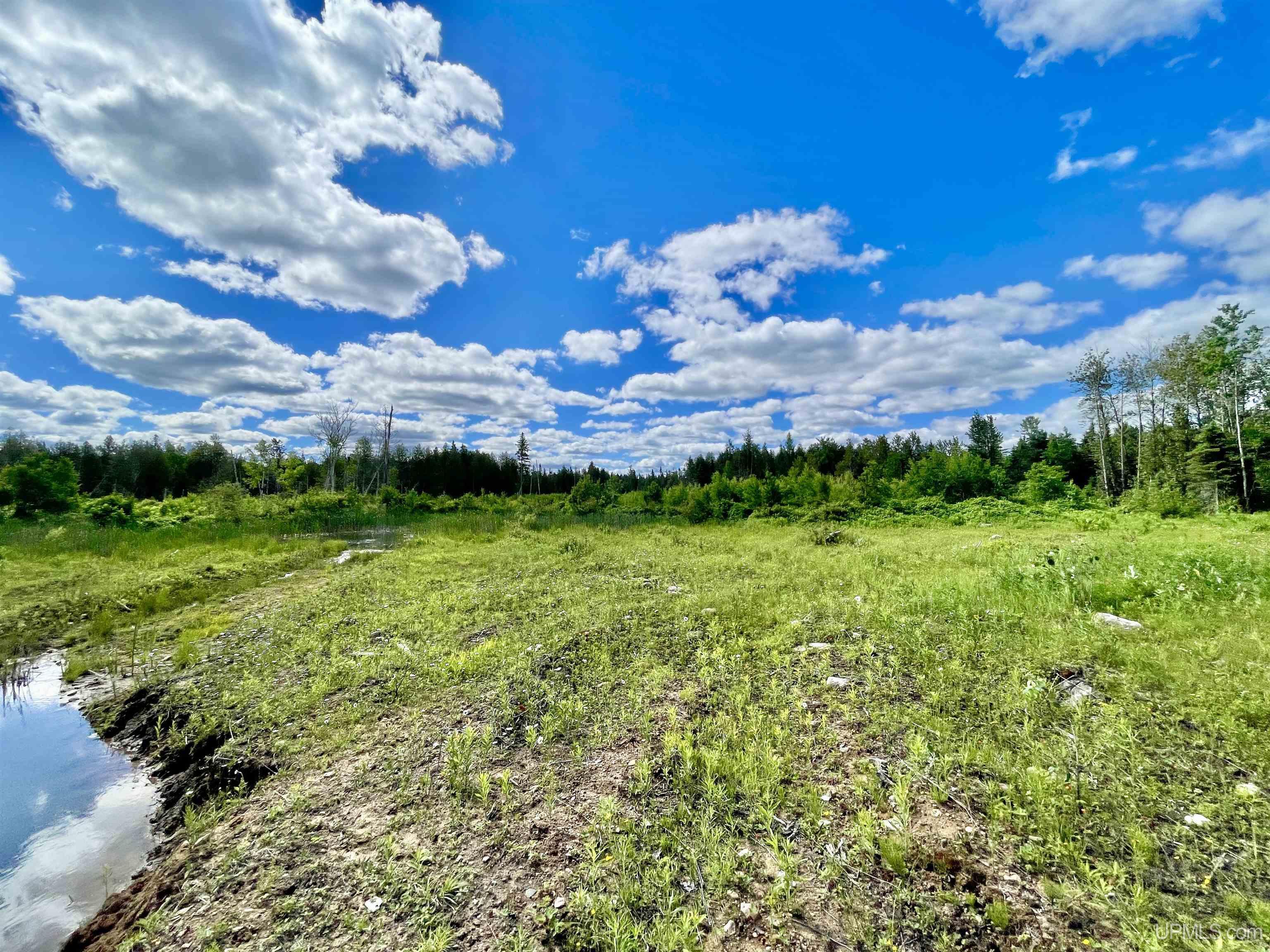 Tbd Norway Lake Road Felch, MI 49831 - Photo 9 of 14