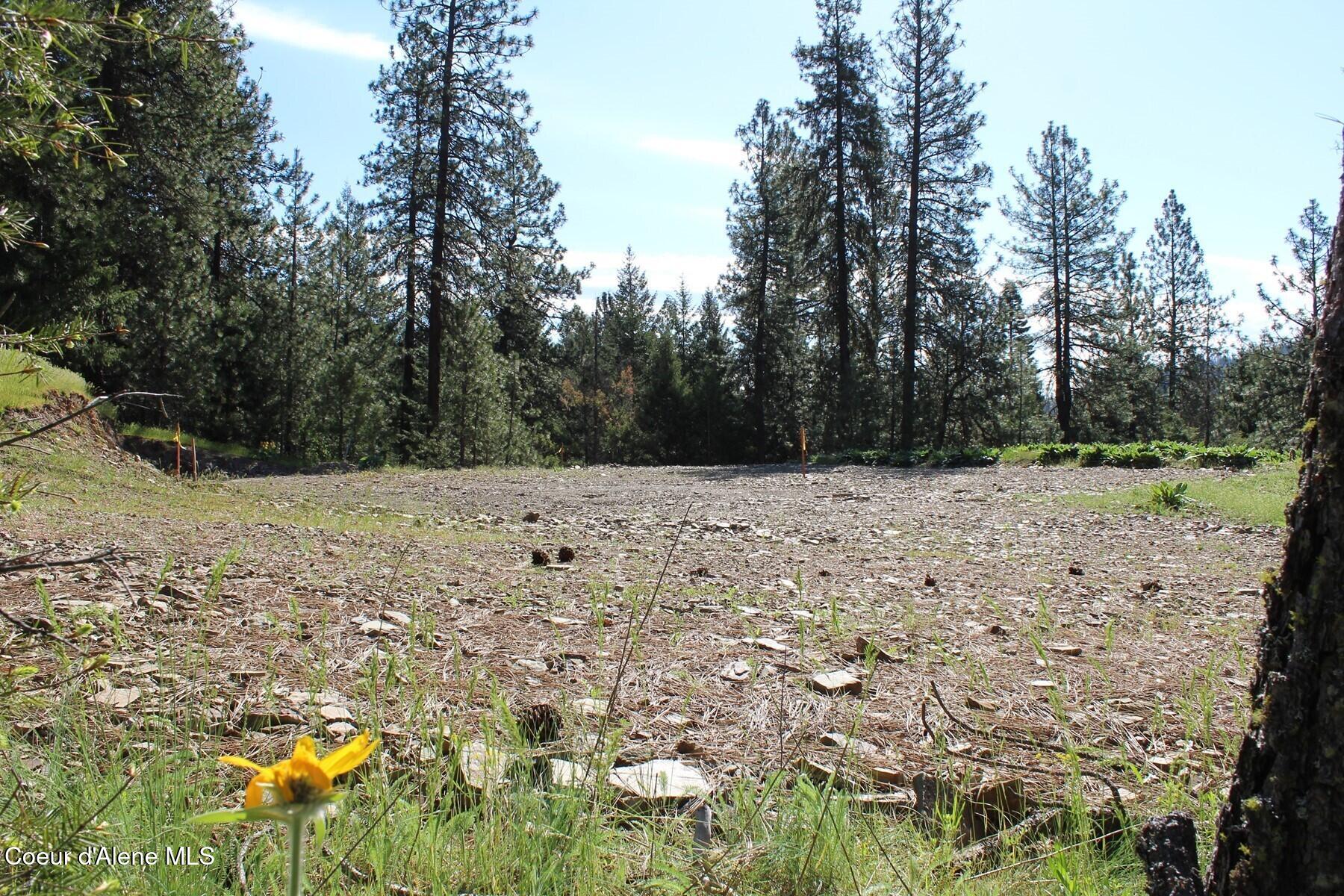 881 South Allen Road Coeur D'Alene, ID 83814 - Photo 15 of 26 Allen Cleared Pad