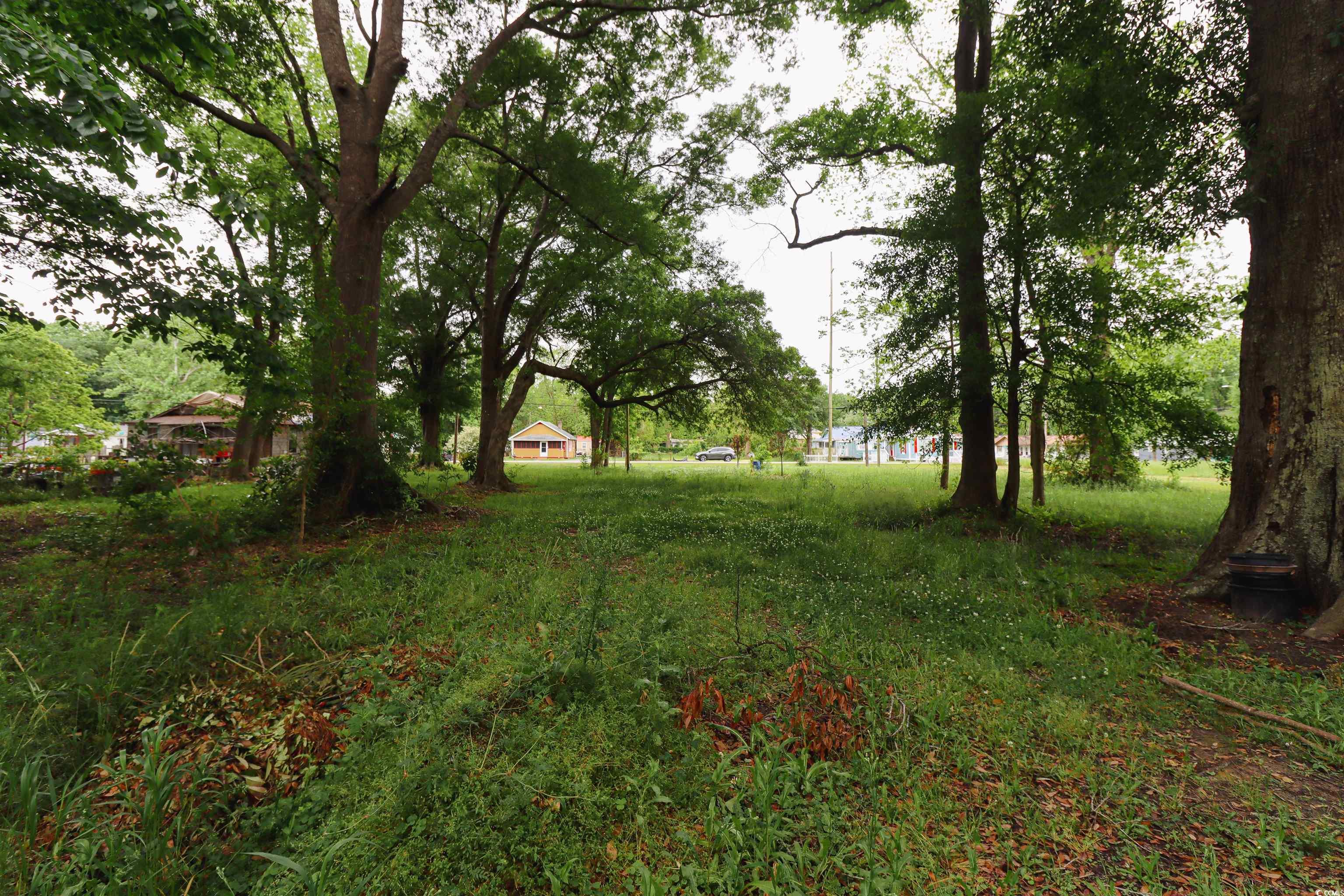 2022 Emanuel Street Georgetown, SC 29440 - Photo 3 of 8 Gallery Image 3