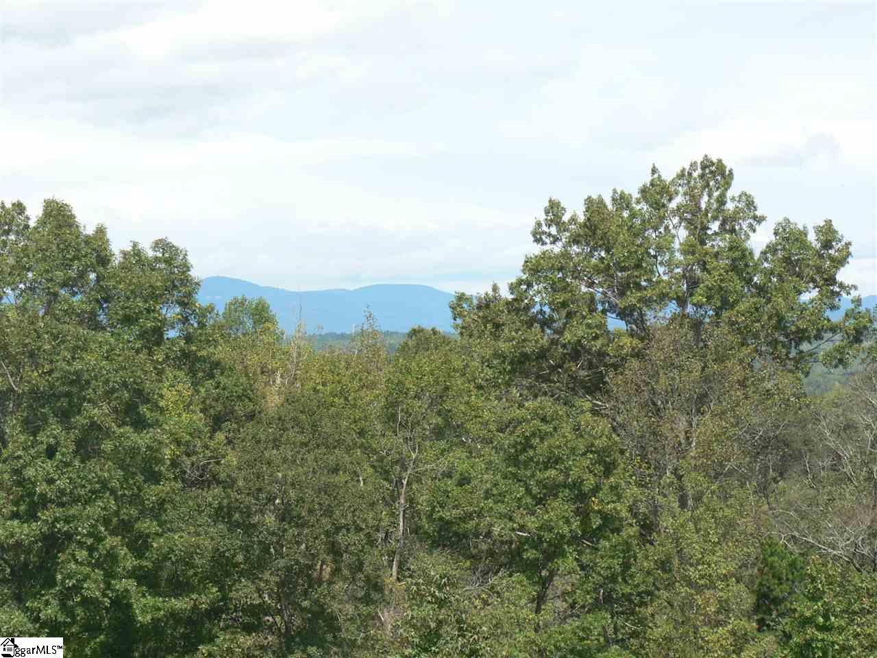 0 Hester Store Road, Unit LOT 8 Easley, SC 29640 - Photo 5 of 5