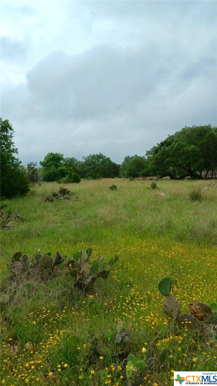 0 Purgatory Road New Braunfels, TX 78132 - Photo 1 of 1 Gallery Image 1