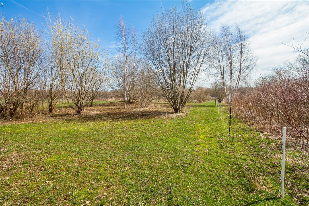 3859 Gaines Basin Road Albion, NY 14411 - Photo 36 of 50