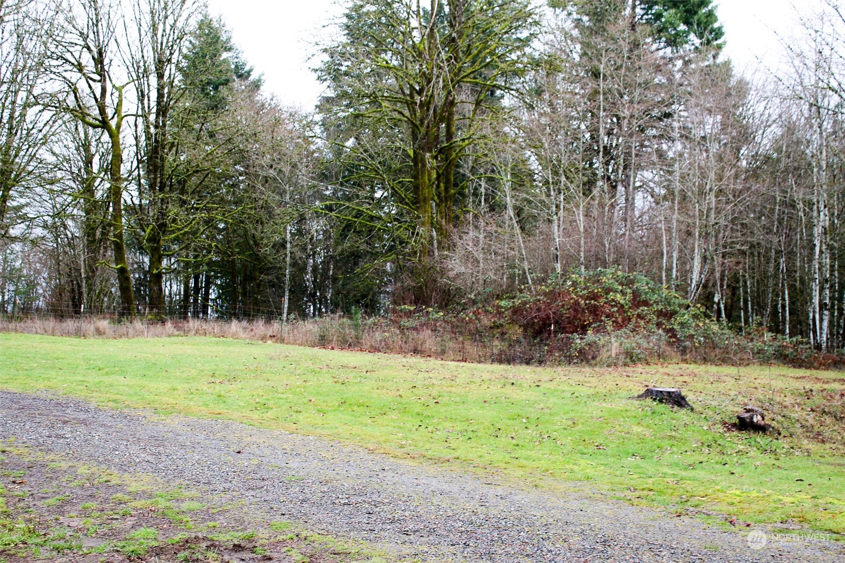 7608 Southwest Scatter View Lane Rochester, WA 98579 - Photo 16 of 23 a view of a yard with large trees