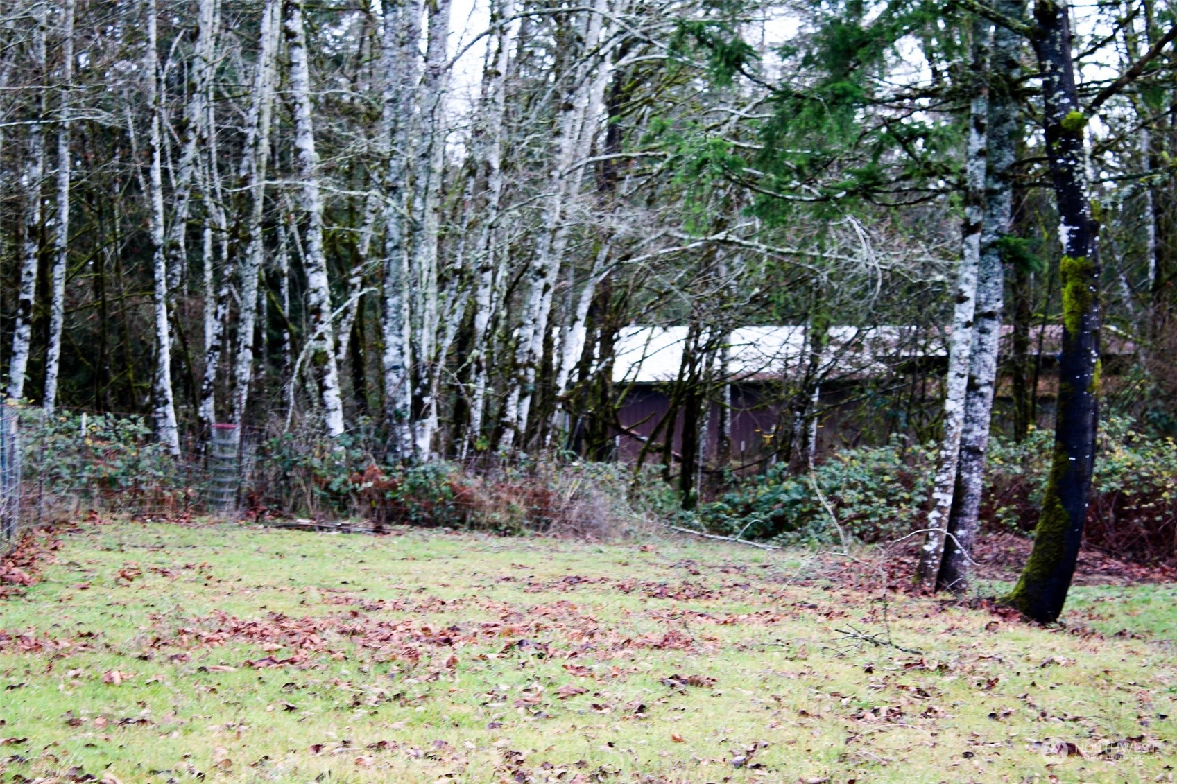 7608 Southwest Scatter View Lane Rochester, WA 98579 - Photo 20 of 23 a view of a backyard with large trees